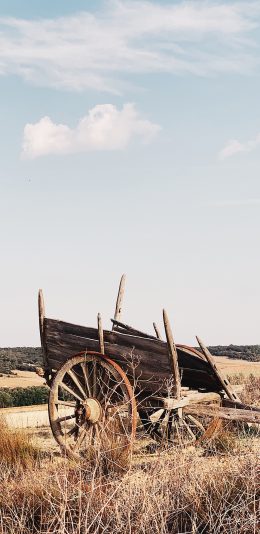 [2436x1125]蓝天 郊外 推车 木板车 怀旧枯草 苹果手机壁纸图片