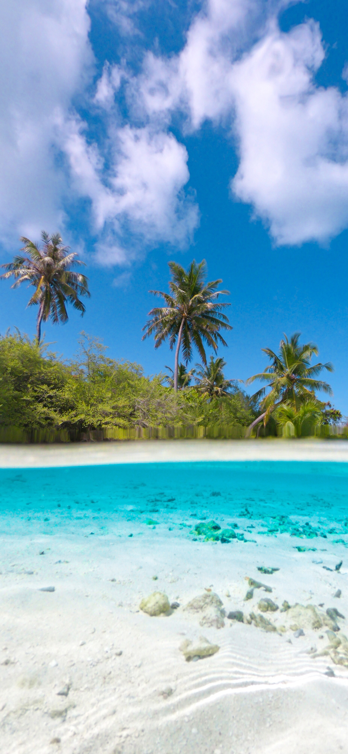 [2436×1125]蓝天白云 大海 湛蓝 海景 苹果手机壁纸图片