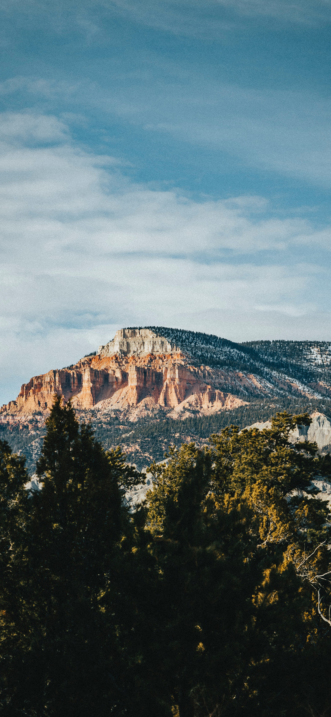 [2436×1125]蓝天白云 山峰 树木 自然美景 苹果手机壁纸图片