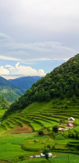 [2436x1125]蓝天白云 山峰 梯田 自然美景 苹果手机壁纸图片