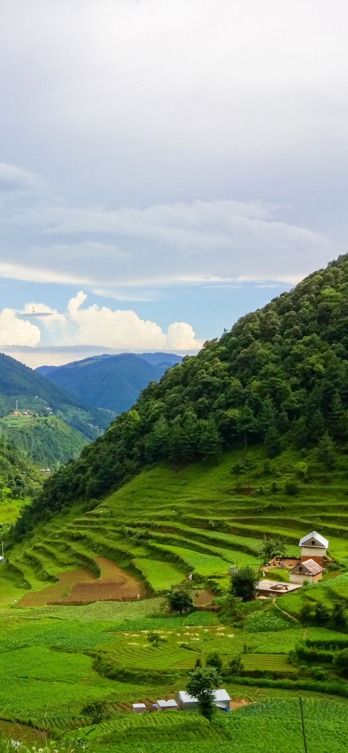 [2436×1125]蓝天白云 山峰 梯田 自然美景 苹果手机壁纸图片