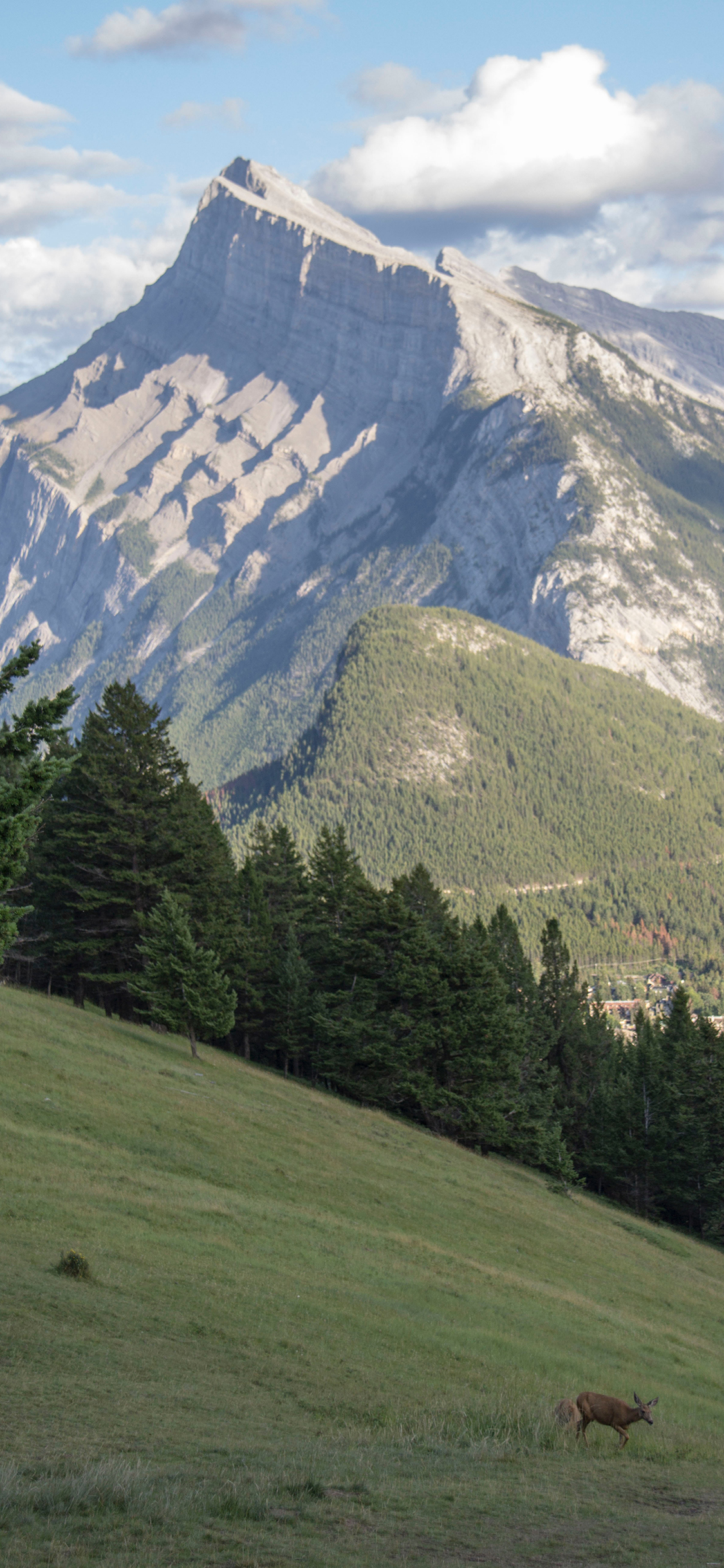 [2436×1125]蓝天白云 山峰 高原 美景 苹果手机壁纸图片