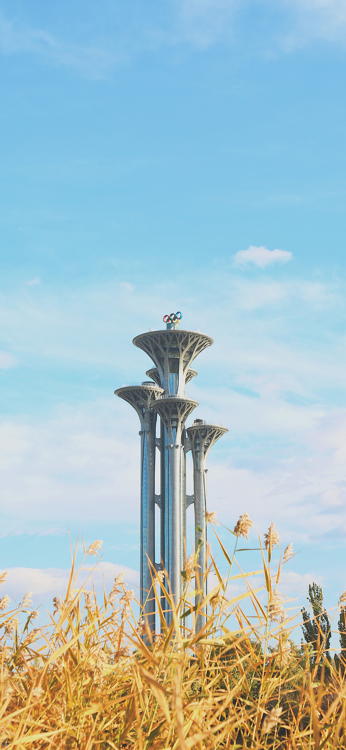 [2436×1125]蓝天白云 建筑 背景 奥森公园 奥运五环 苹果手机壁纸图片