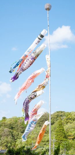 [2436x1125]蓝天白云 日本 鲤鱼旗 苹果手机壁纸图片