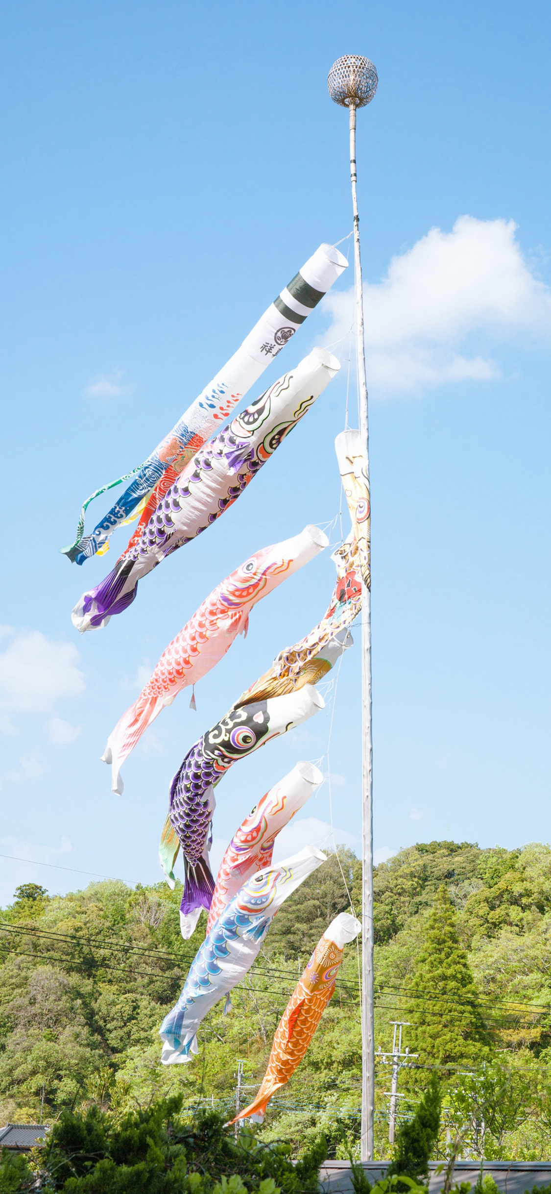 [2436×1125]蓝天白云 日本 鲤鱼旗 苹果手机壁纸图片