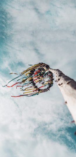 [2436x1125]蓝天白云 枯木 纸条 悬挂 苹果手机壁纸图片