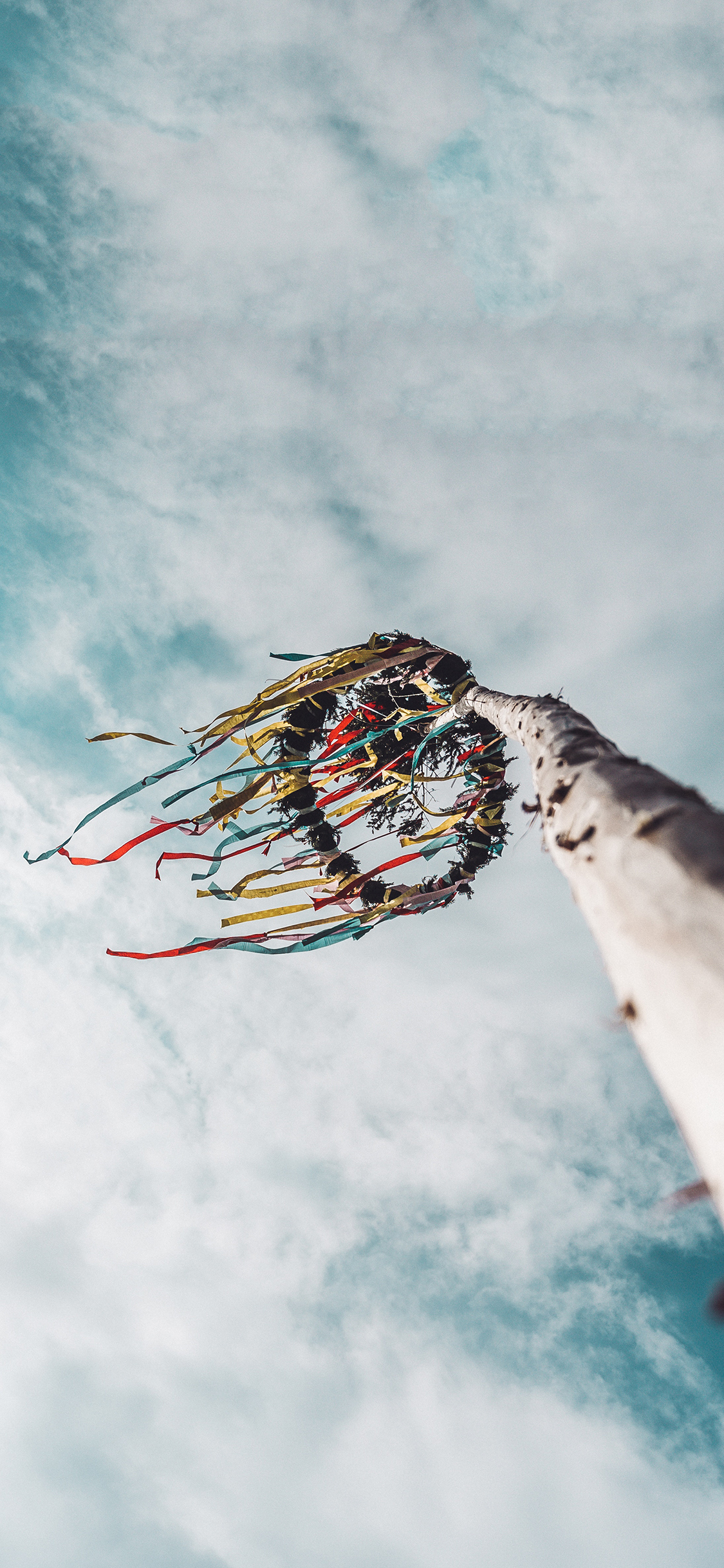 [2436×1125]蓝天白云 枯木 纸条 悬挂 苹果手机壁纸图片