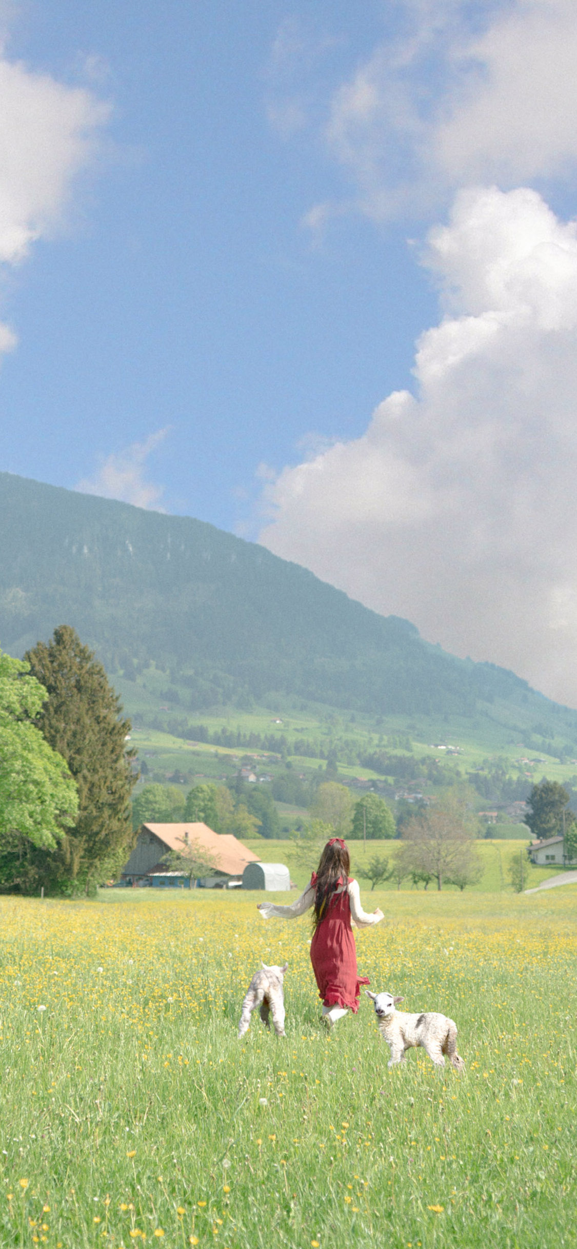 [2436×1125]蓝天白云 草原 羊羔 女孩背影（取自微博：尼脑子瓦特啦） 苹果手机壁纸图片
