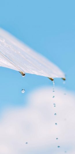 [2436x1125]蓝天白云 雨伞 水滴 苹果手机壁纸图片