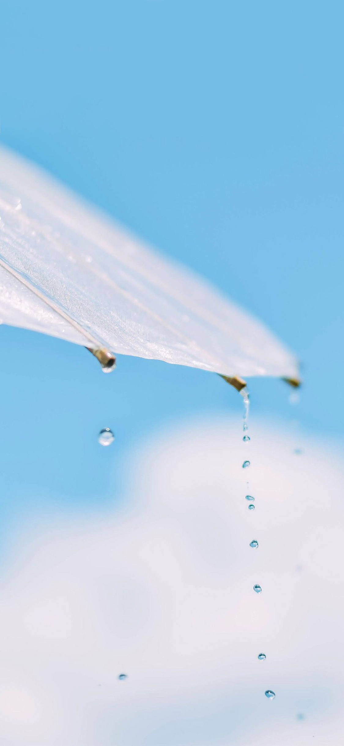 [2436×1125]蓝天白云 雨伞 水滴 苹果手机壁纸图片