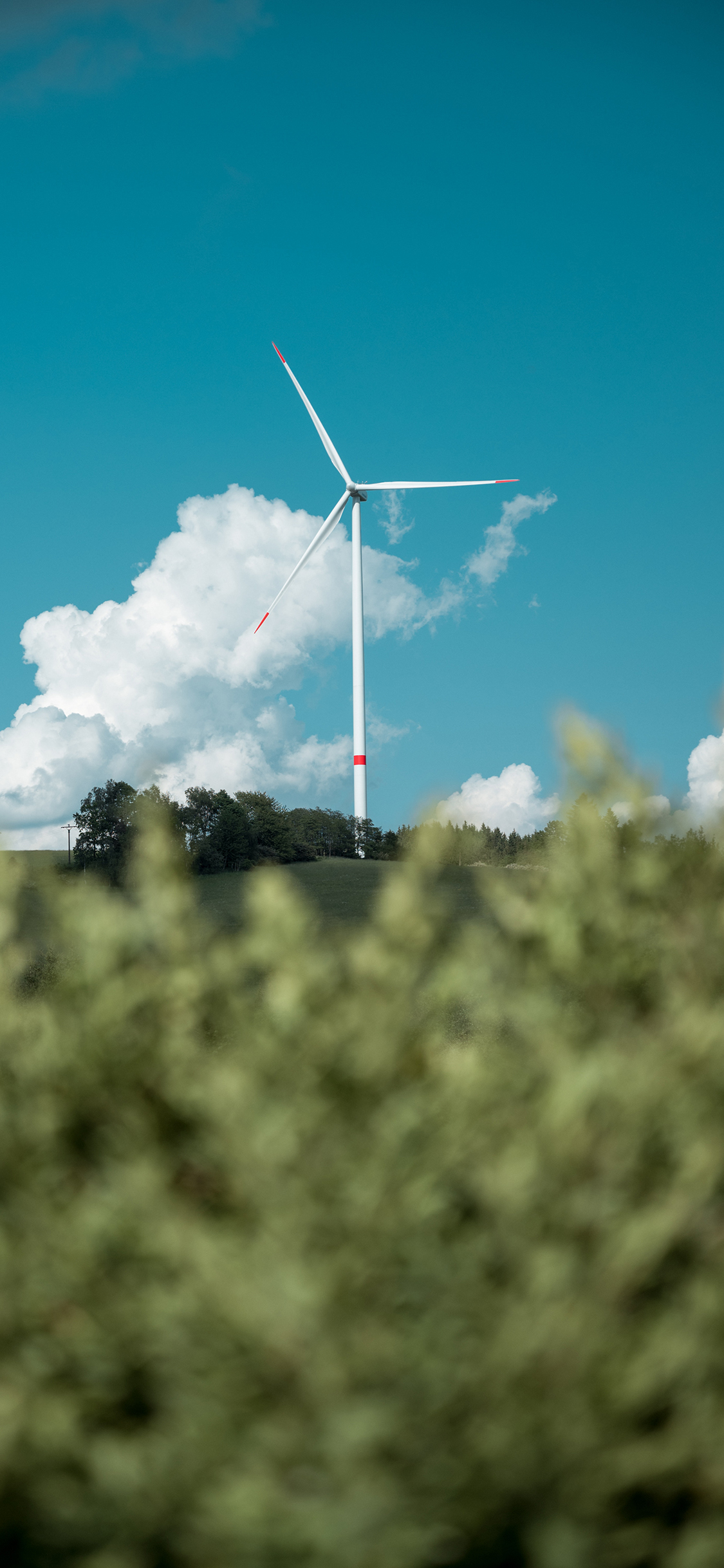 [2436×1125]蓝天白云 风力发电塔 风车 树木 苹果手机壁纸图片