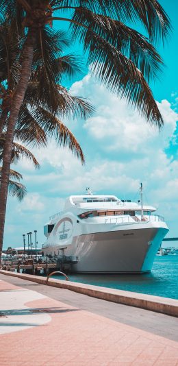 [2436x1125]蔚蓝 椰树 游轮 轮船 苹果手机壁纸图片
