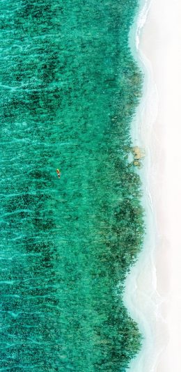[2436x1125]蜿蜒 海岸线 海边 沙滩 苹果手机壁纸图片