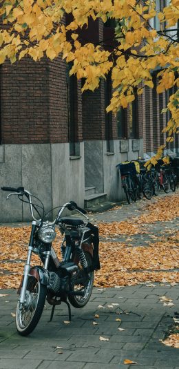 [2436x1125]街景 摩托车 机车 落叶