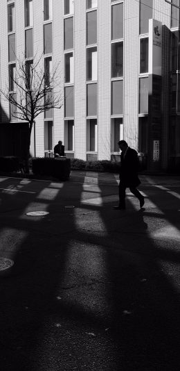 [2436x1125]街景 阳光 黑白 写意 苹果手机壁纸图片