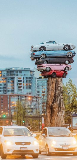 [2436x1125]街道 废弃 旧车 树桩 创意 汽车 轿车 苹果手机壁纸图片