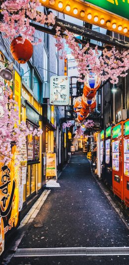 [2436x1125]街道 樱花 日系 招牌 苹果手机壁纸图片