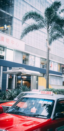 [2436x1125]街道 的士 香港 出租车 绿植 苹果手机壁纸图片
