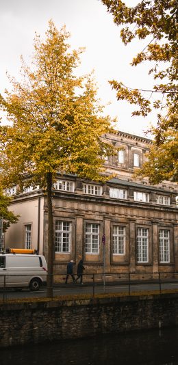 [2436x1125]街道 秋季 建筑 树木