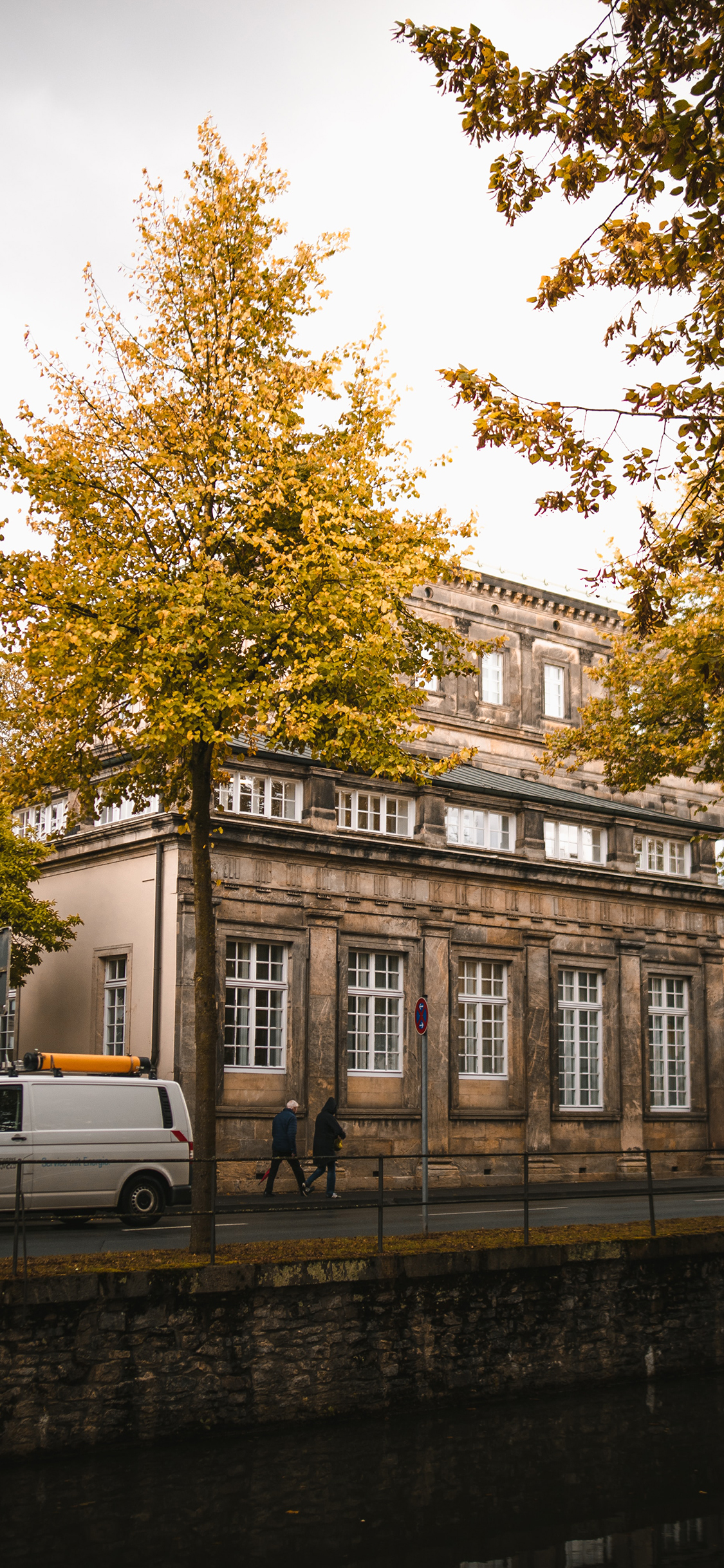 [2436×1125]街道 秋季 建筑 树木
