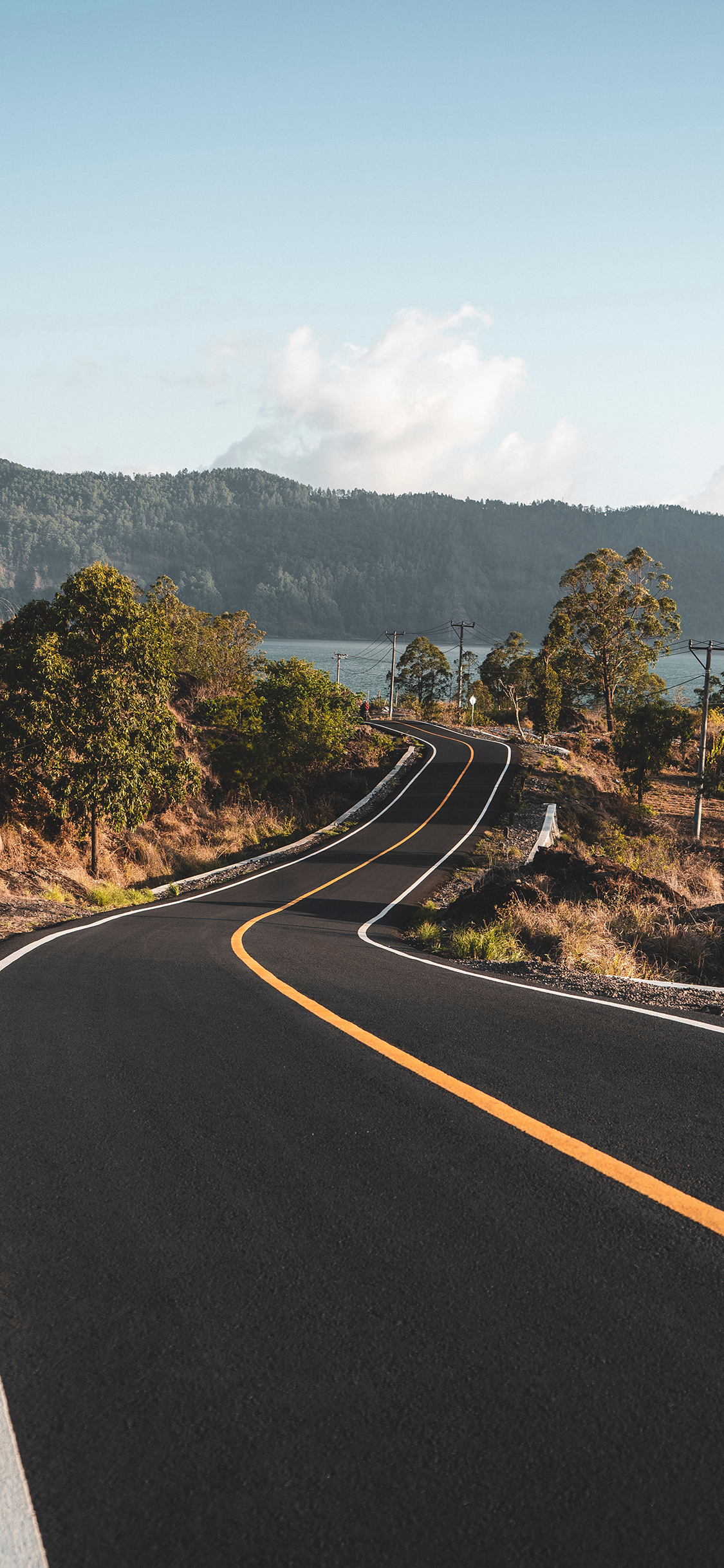 [2436×1125]车道 宽阔 树木 郊区 苹果手机壁纸图片