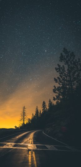 [2436x1125]车道 树木 星空 夜景 苹果手机壁纸图片