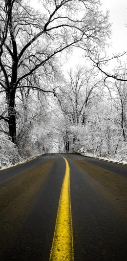 [2436x1125]车道 树木 白雪覆盖 寂静 苹果手机壁纸图片