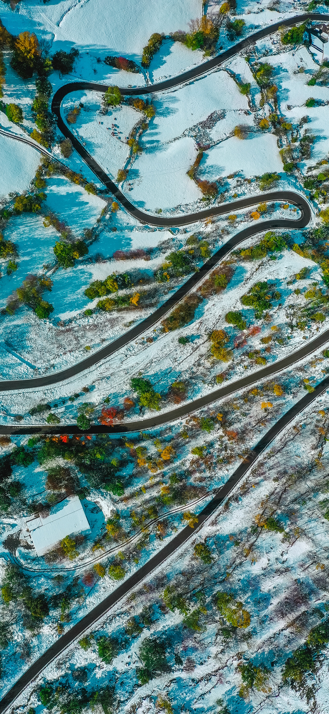 [2436×1125]车道 蜿蜒 雪地 树木 苹果手机壁纸图片