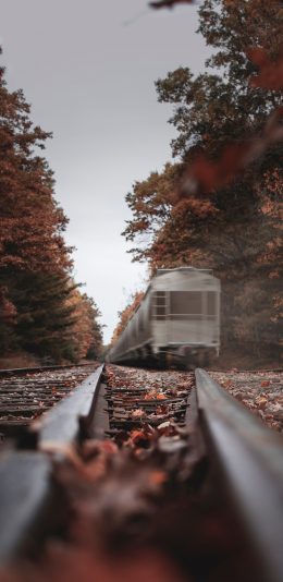 [2436x1125]轨道 火车 行驶 落叶 意境 苹果手机壁纸图片