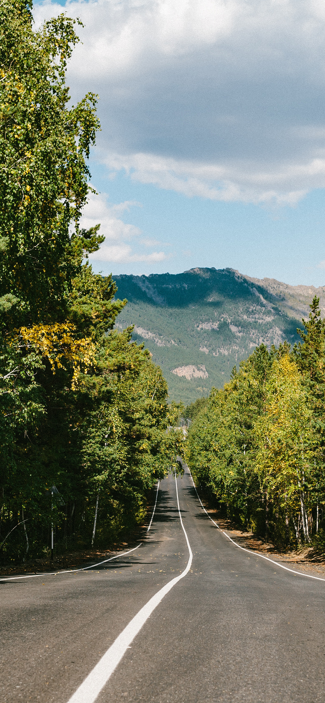 [2436×1125]道路 树木 天空 公路 苹果手机壁纸图片