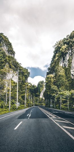 [2436x1125]道路 树木 空间感 风景 苹果手机壁纸图片