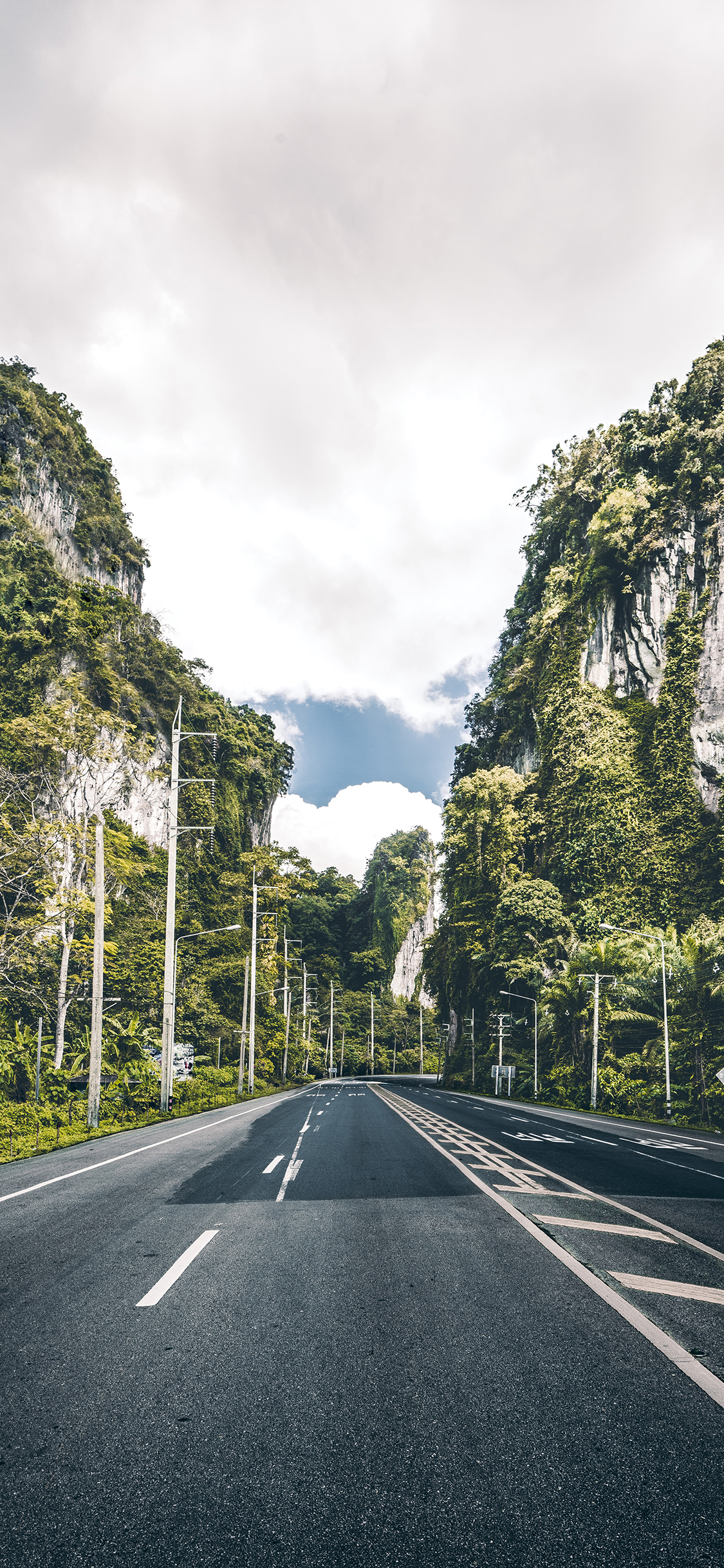[2436×1125]道路 树木 空间感 风景 苹果手机壁纸图片