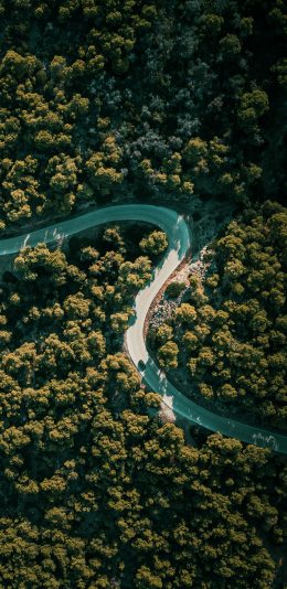 [2436x1125]道路 蜿蜒 公路 树木 树林 苹果手机壁纸图片