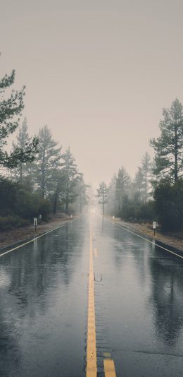 [2436x1125]道路 雨水 树木 倒影 苹果手机壁纸图片