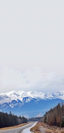 [2436x1125]道路 雪山 大自然 树林 苹果手机壁纸图片