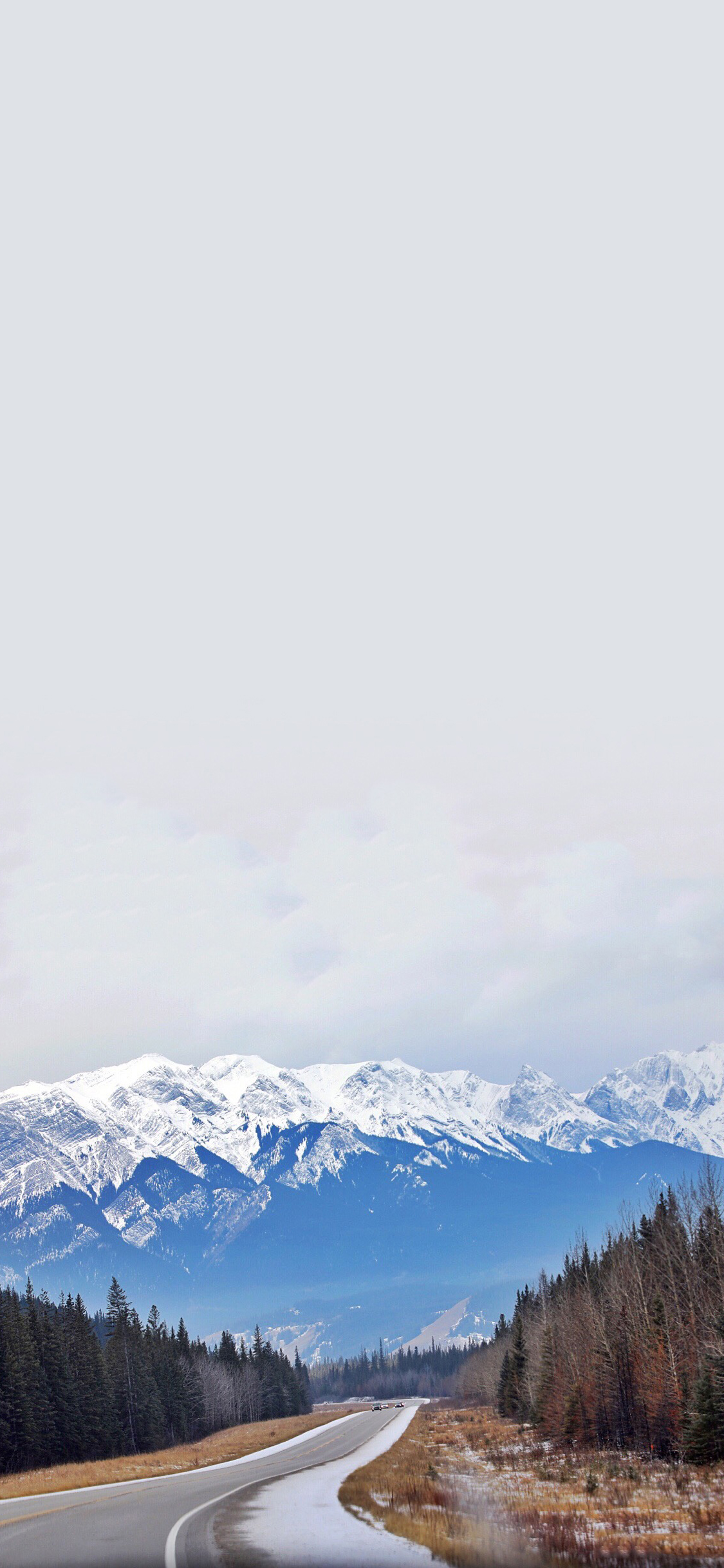 [2436×1125]道路 雪山 大自然 树林 苹果手机壁纸图片