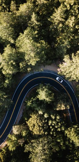 [2436x1125]道路 麻辣 行驶 树林 森林 绿色 苹果手机壁纸图片