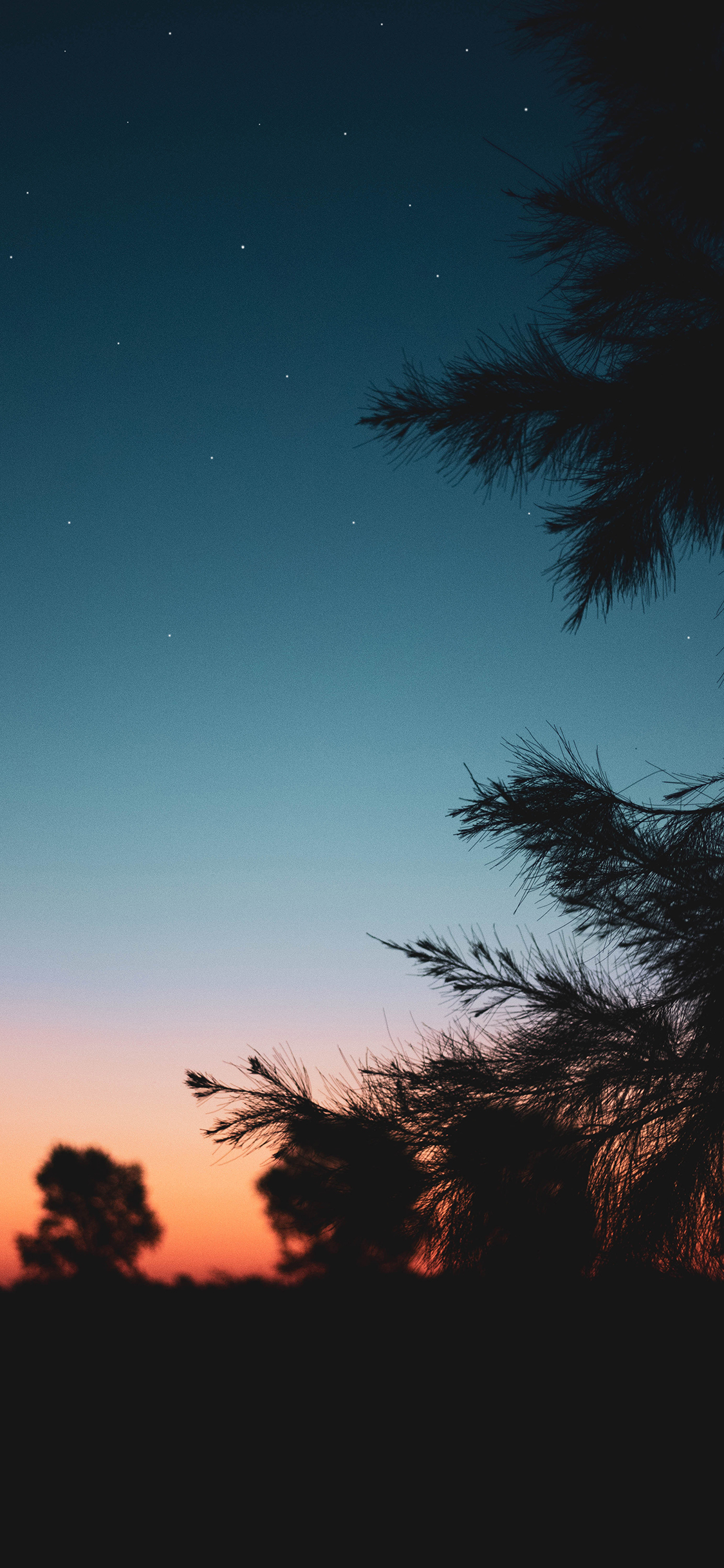 [2436×1125]郊外 夜景 唯美 晚霞 苹果手机壁纸图片