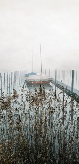 [2436x1125]郊外 大海 船只 芦苇 美景 苹果手机壁纸图片