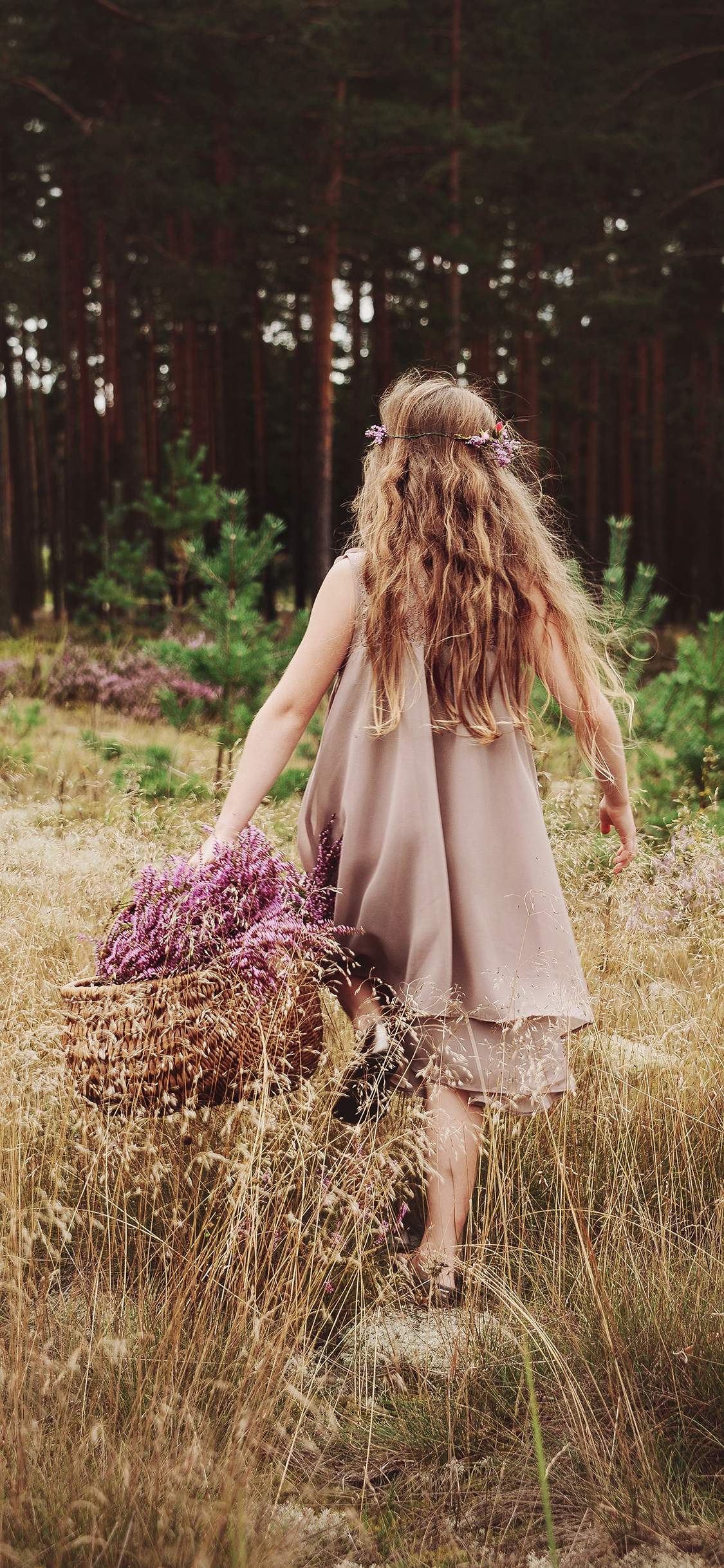 [2436×1125]郊外 女孩 背影 卷发 鲜花 唯美 苹果手机壁纸图片