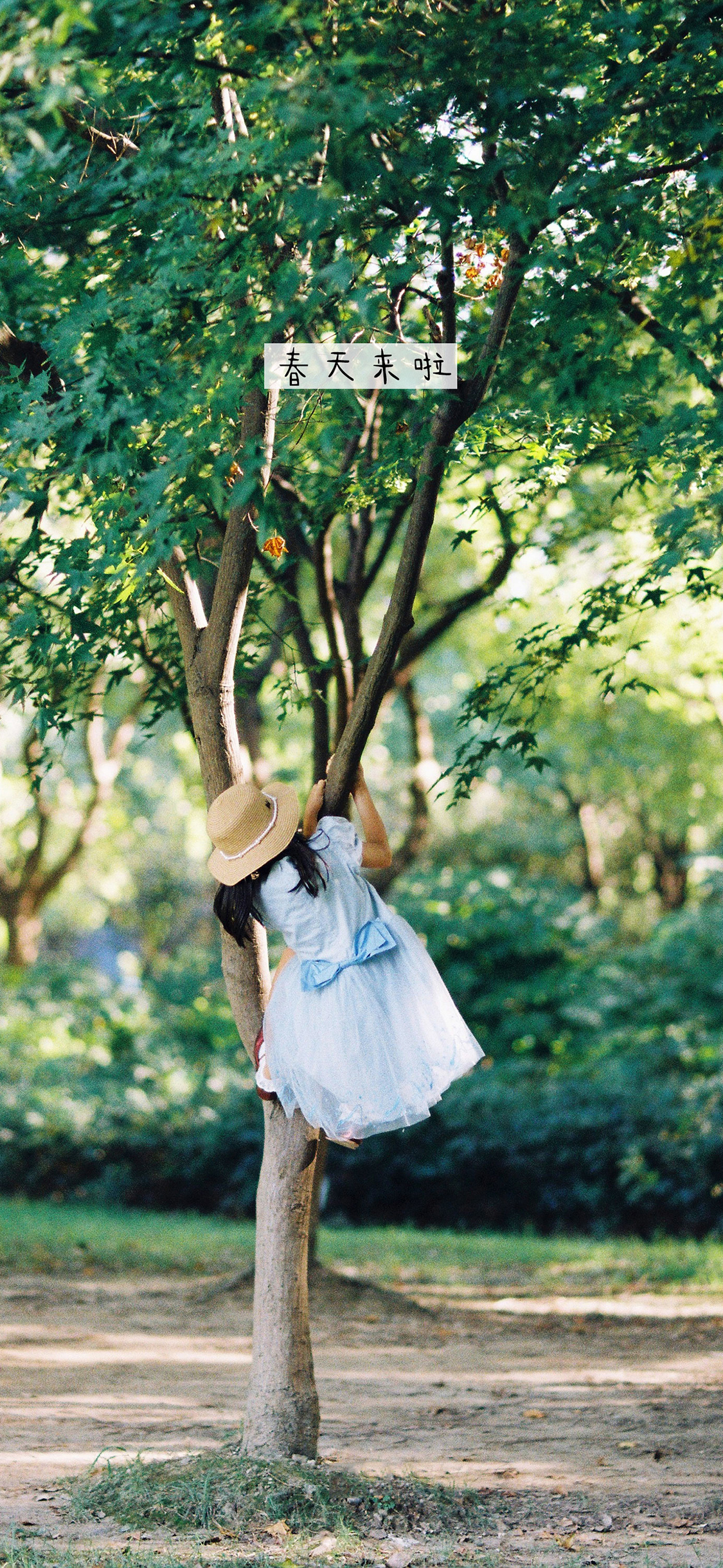 [2436×1125]郊外 女孩 背影 爬树 春天来啦 苹果手机壁纸图片