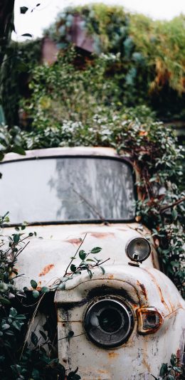 [2436x1125]郊外 小汽车 废弃 怀旧 苹果手机壁纸图片