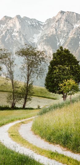 [2436x1125]郊外 小道 树木 自然 苹果手机壁纸图片