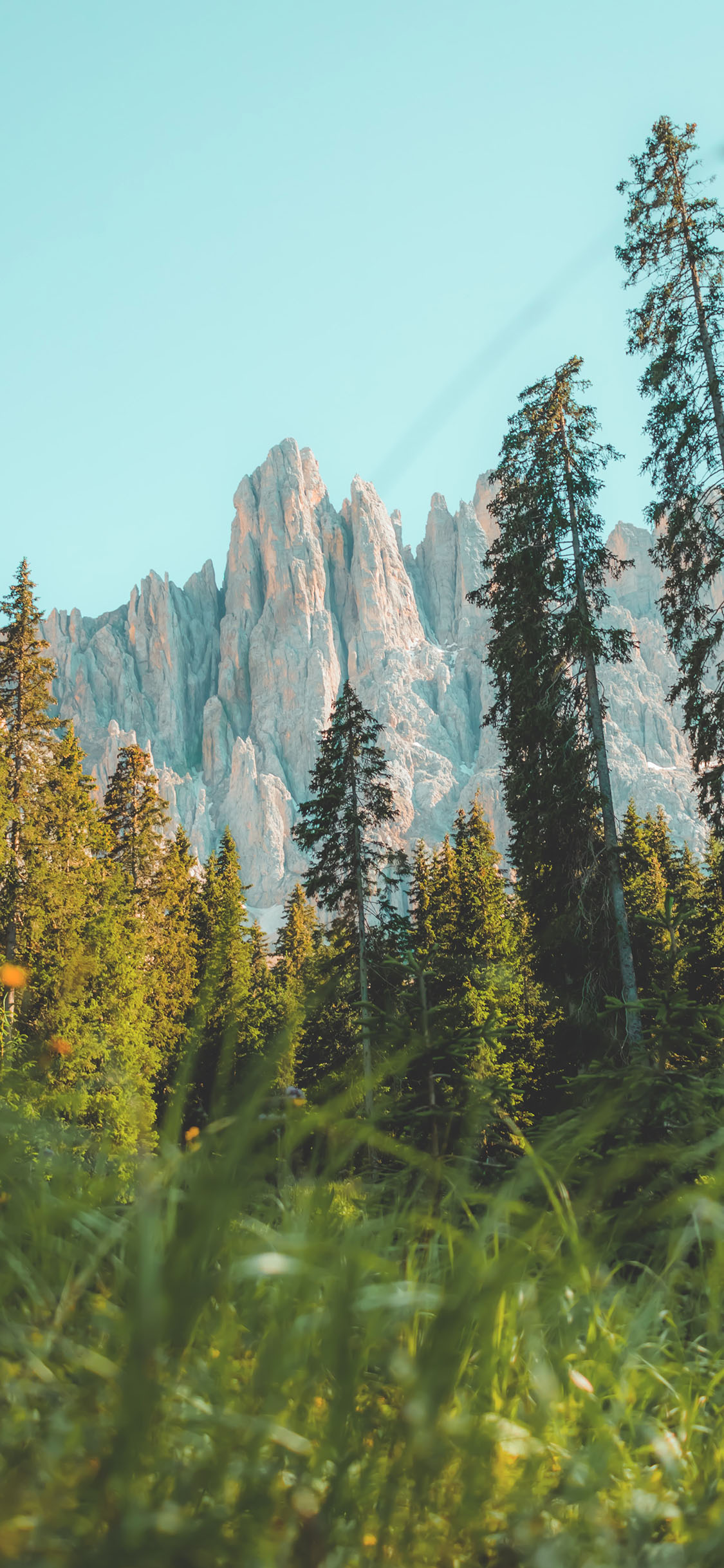 [2436×1125]郊外 山峰 树木 自然美景 苹果手机壁纸图片