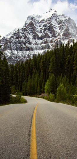 [2436x1125]郊外 山峰 树木 道路 苹果手机壁纸图片