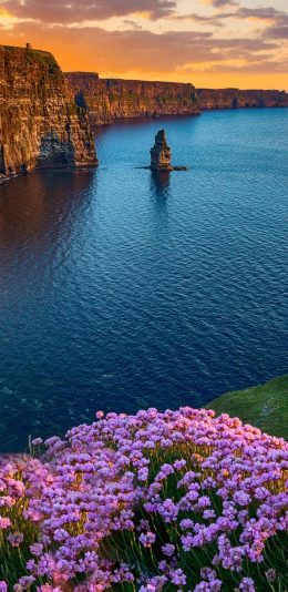 [2436x1125]郊外 山河 花丛 美景 苹果手机壁纸图片