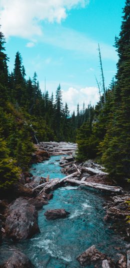 [2436x1125]郊外 山河美景 流水 树木 苹果手机壁纸图片