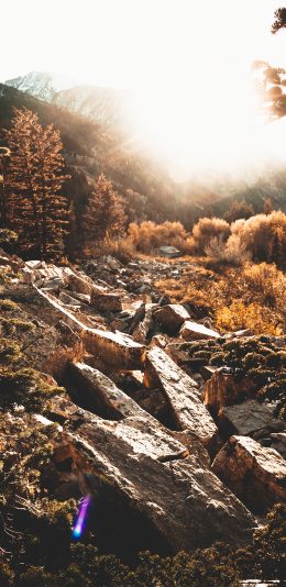 [2436x1125]郊外 山间小道 石头 阳光 苹果手机壁纸图片