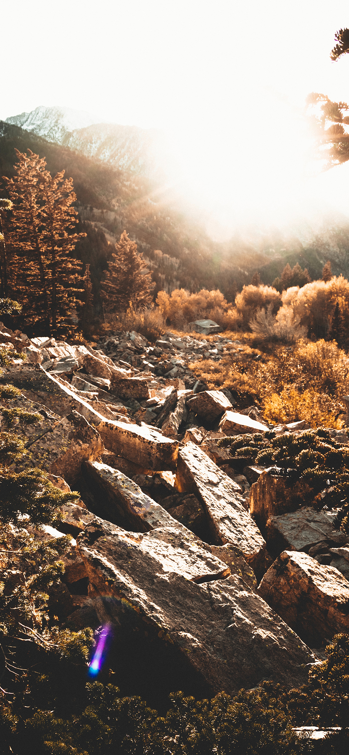 [2436×1125]郊外 山间小道 石头 阳光 苹果手机壁纸图片