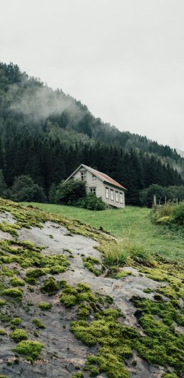 [2436x1125]郊外 房屋 森林 小屋 苹果手机壁纸图片